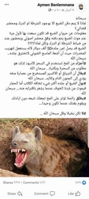 خرافات منتشرة بكثرة حول الضباع