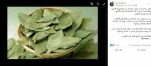 ناشر ادعاء فوائد ورق الغار ادعاء زائف جزئي