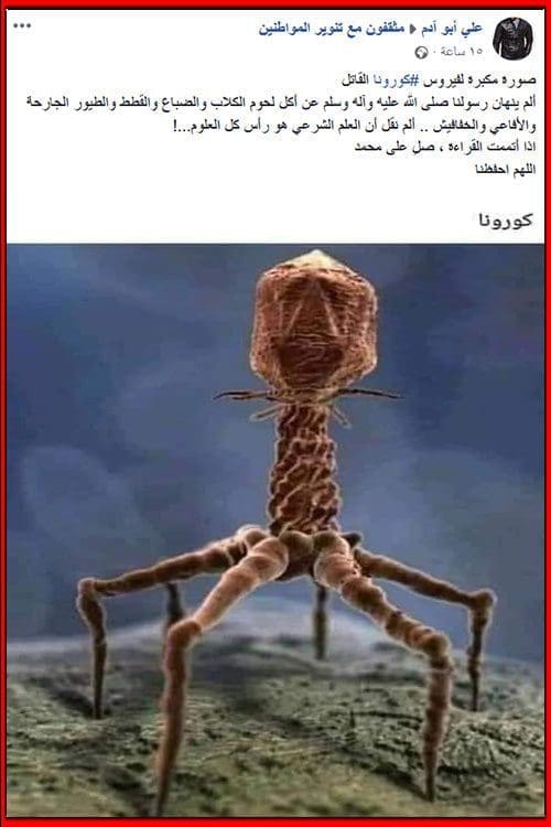 خرافة تدعي أن هذا هو فيروس كورونا