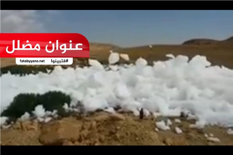زبد البحيرة