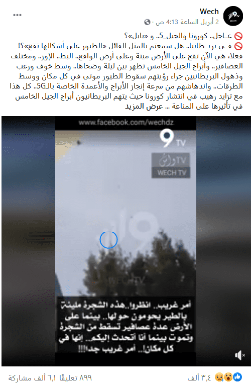 صورة لناشر الادعاء