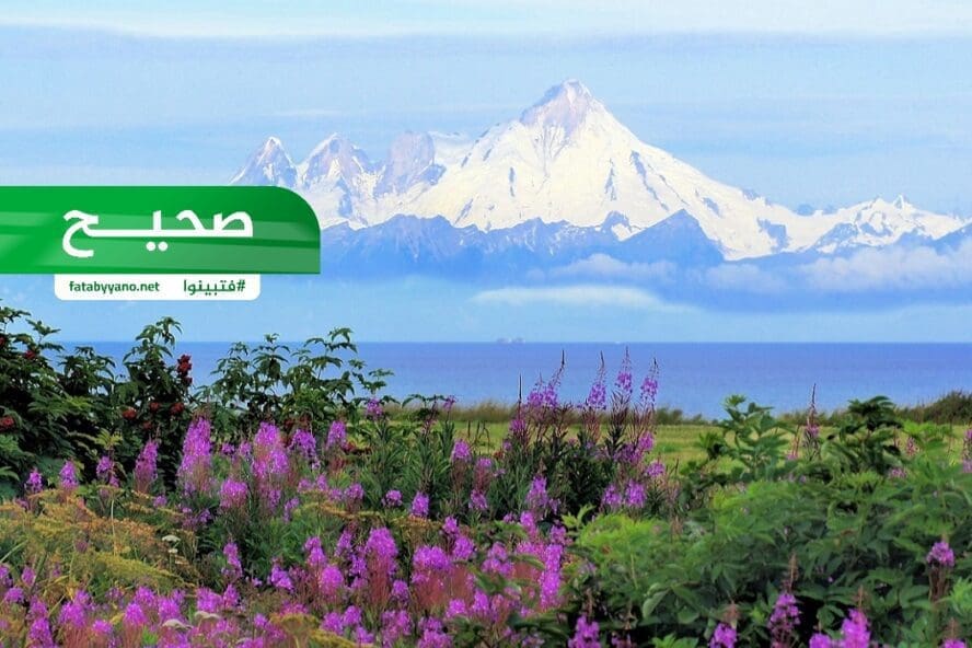 ألاسكا