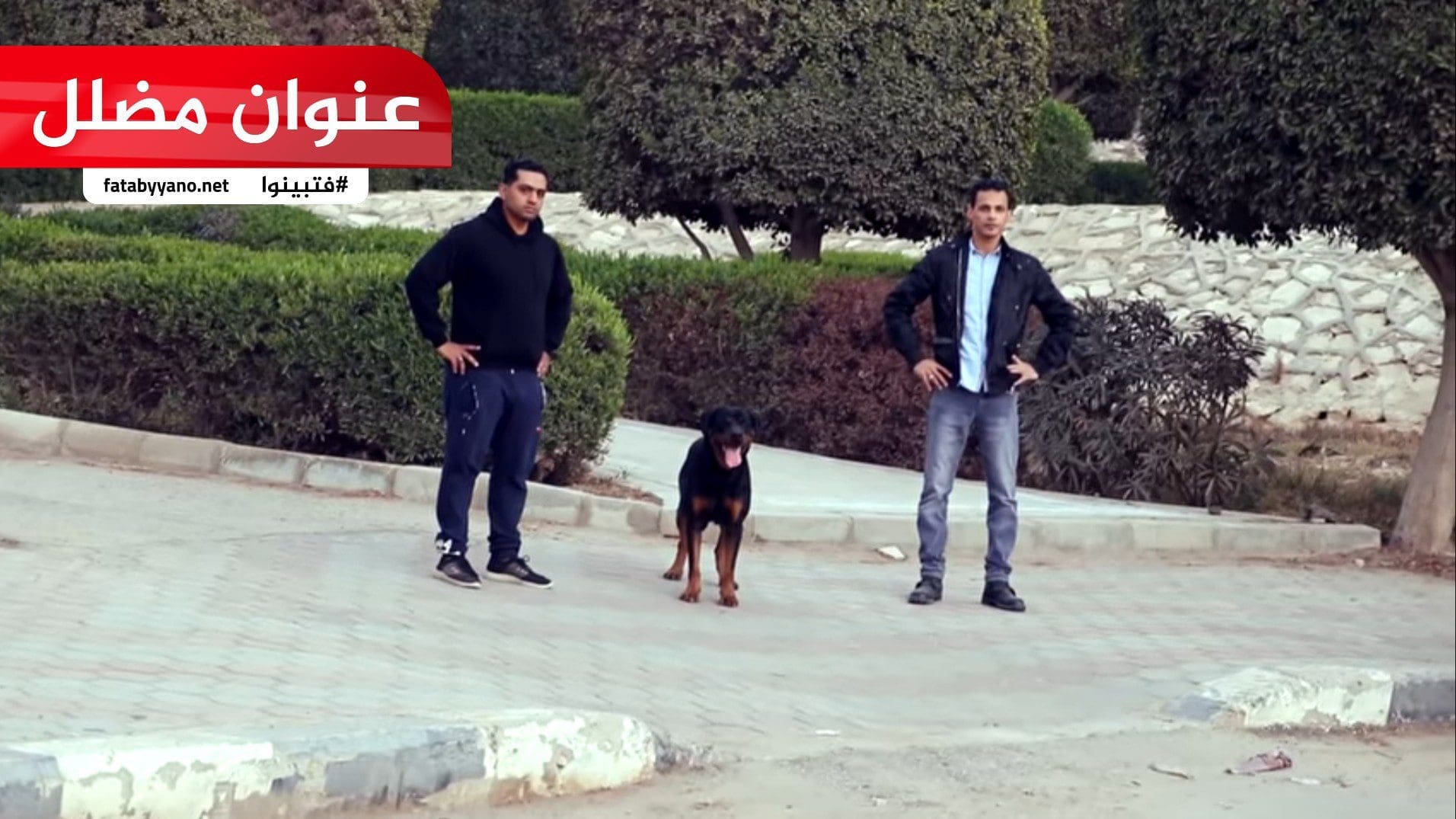 إسرائيلي يطلق كلبه على فلسطيني يصلي مع ابنه في الشارع