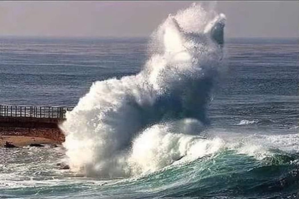 موجة في البحر على شكل قطة صورة مفبركة