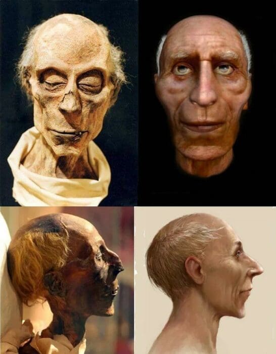 محاولة مماثلة وجه فرعون مصر رمسيس الثاني