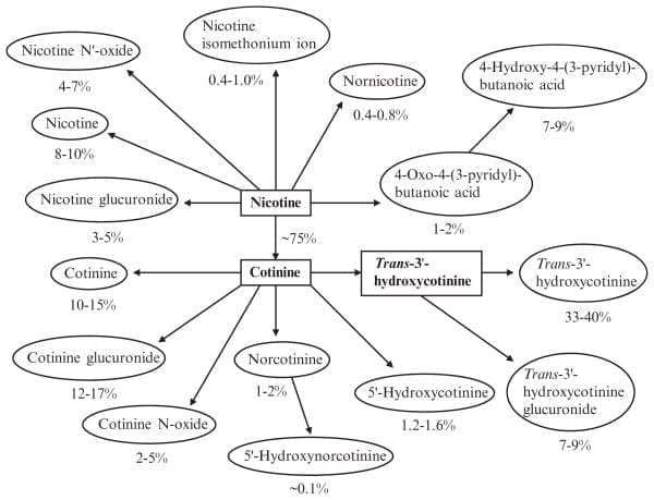 تحول النيكوتين