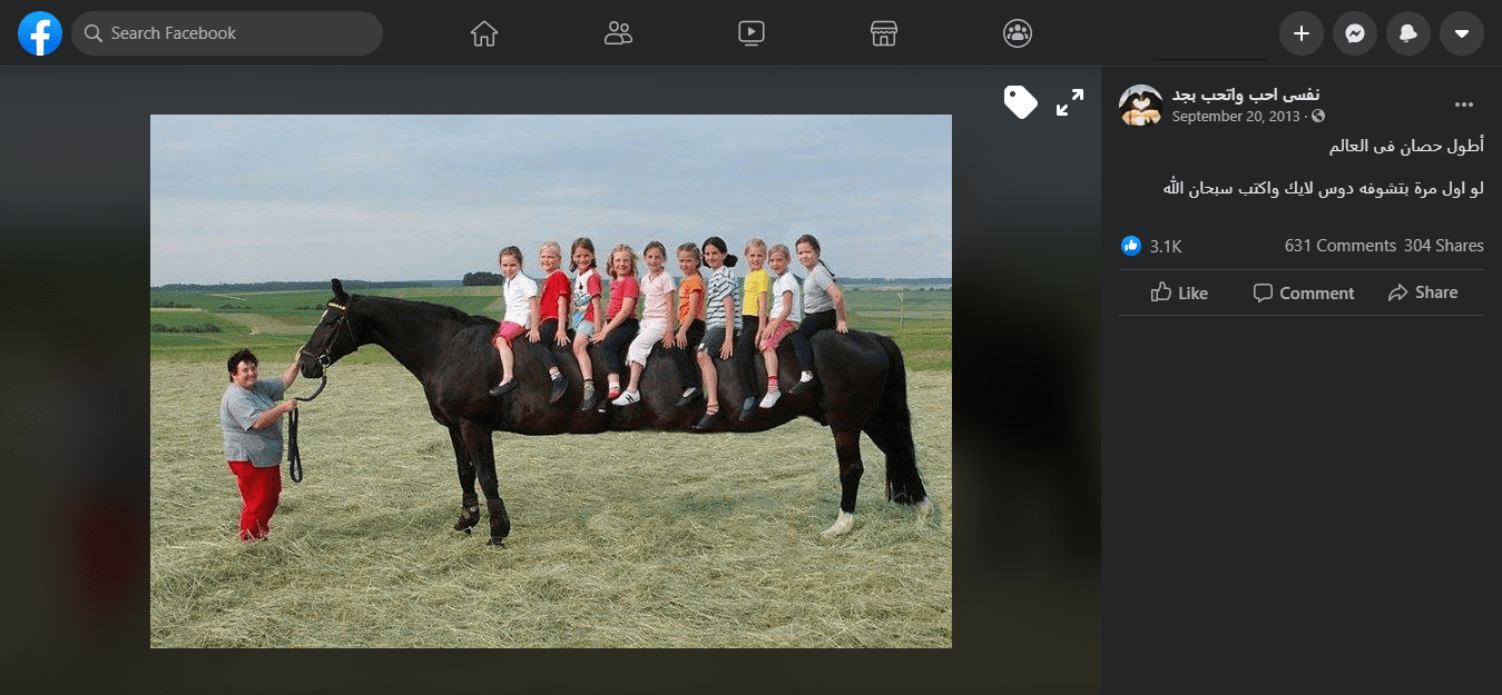 صورة فوتوشوب وليس أطول حصان في العالم!