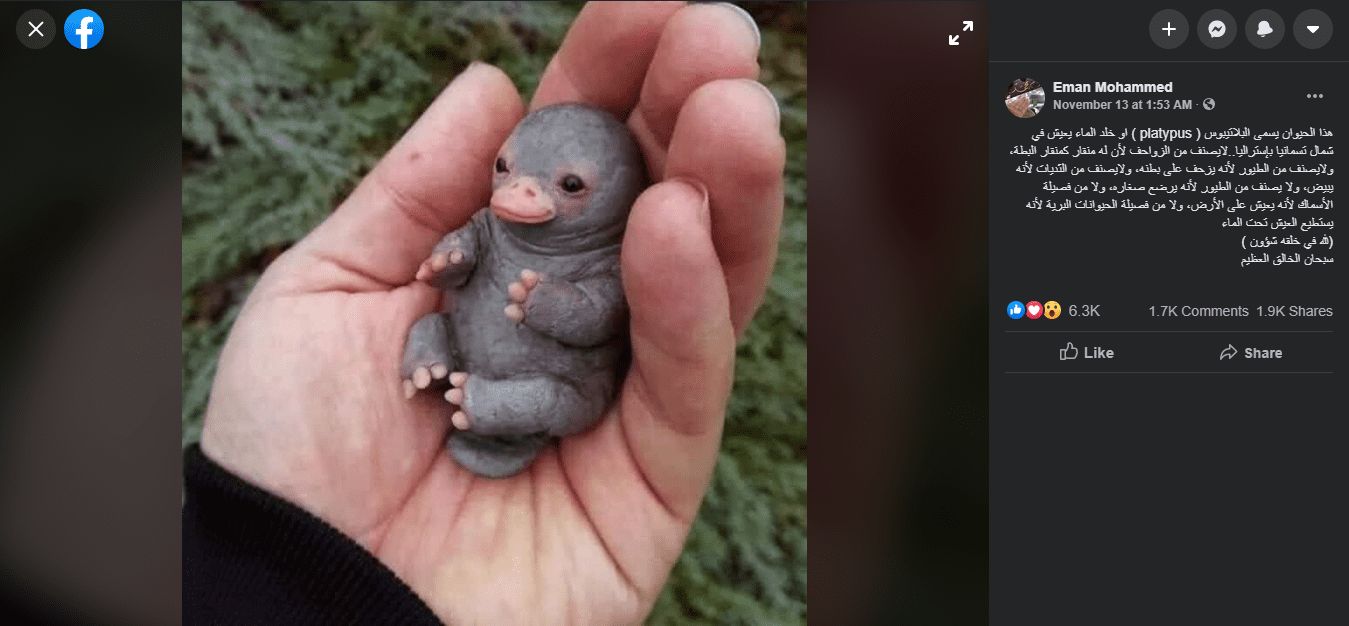 صورة لدمية عمل فني خيالي وليست لحيوان خلد الماء platypus.