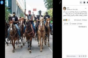 مصدر ادعاء مظاهرة موقعة الجمل - الحصان في أمريكا فتبينوا