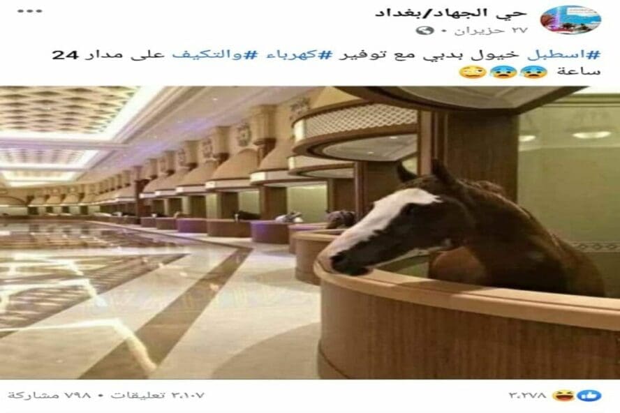 اسطبل خيول في دبي