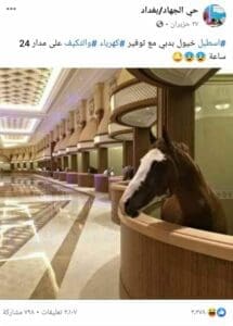 اسطبل خيول في دبي