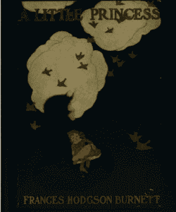 غلاف رواية سالي كرو وهي غير حقيقية