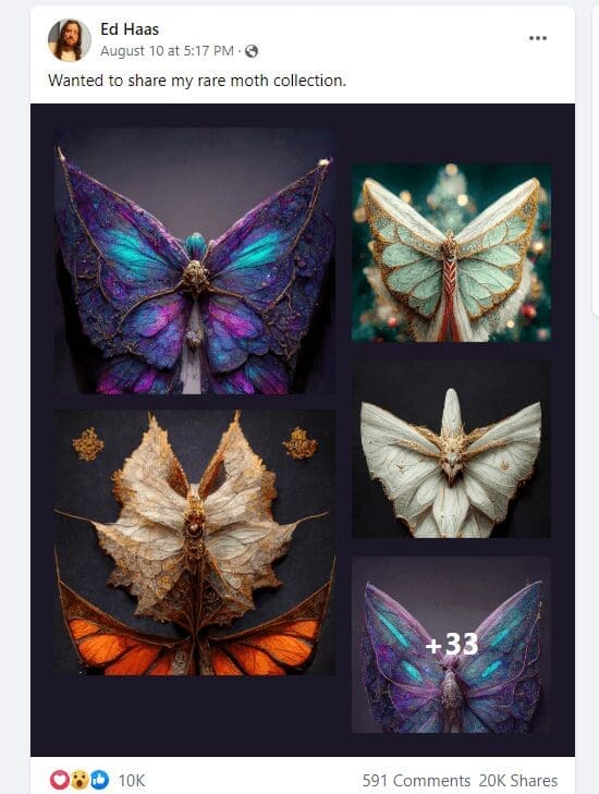 مصدر ادعاء الفراشات